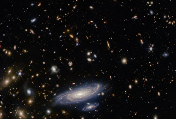 A crowded field of galaxies in the constellation Hercules.